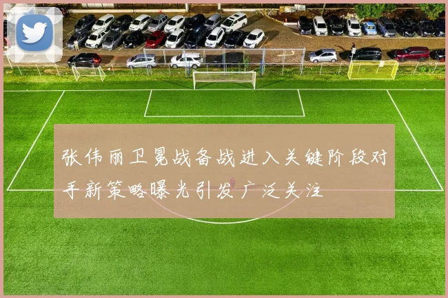 张伟丽卫冕战备战进入关键阶段对手新策略曝光引发广泛关注