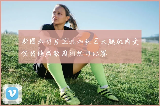 斯图加特后卫扎加杜因大腿肌肉受伤将缺席数周训练与比赛